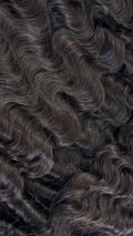Burmese Curly
